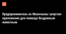 Предприниматель из Махачкалы запустил приложение для помощи бездомным животным